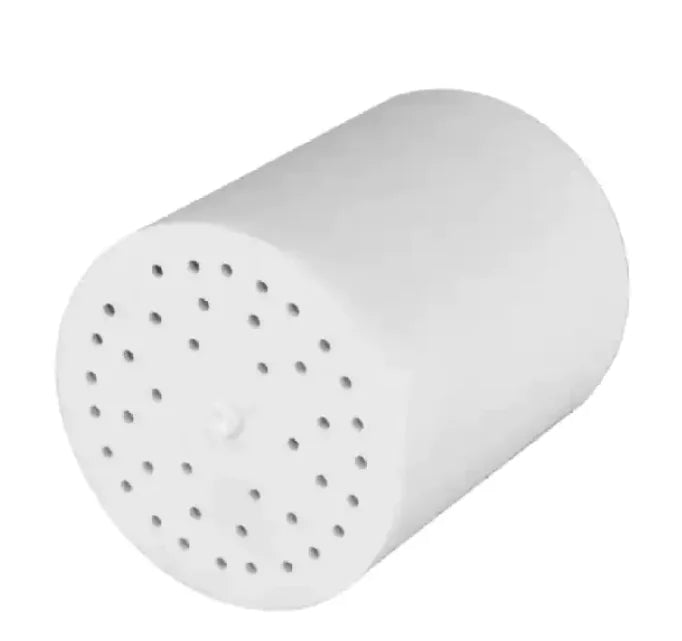 Wall-Mounted Shower Head